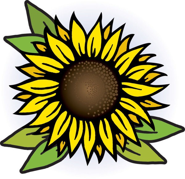 Sunflower Vector Art