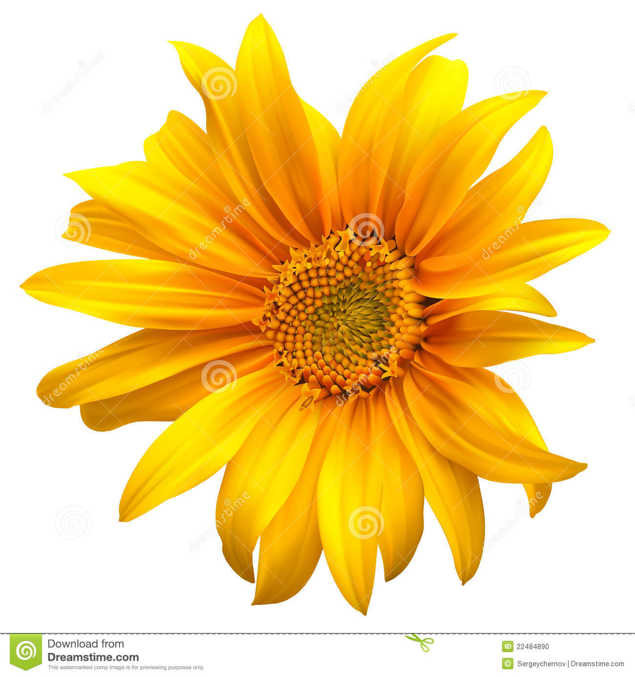 Sunflower Vector Black Flower