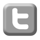 Twitter Icon Gray