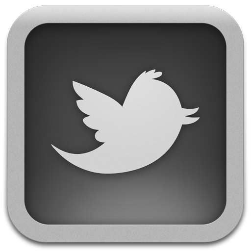 Twitter Icon Grey