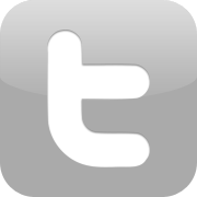 Twitter Icon Grey