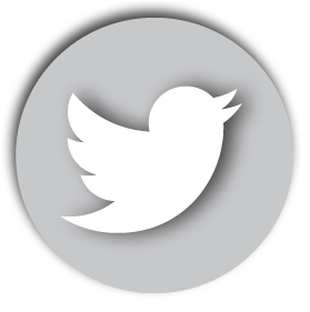 Twitter Icon Grey