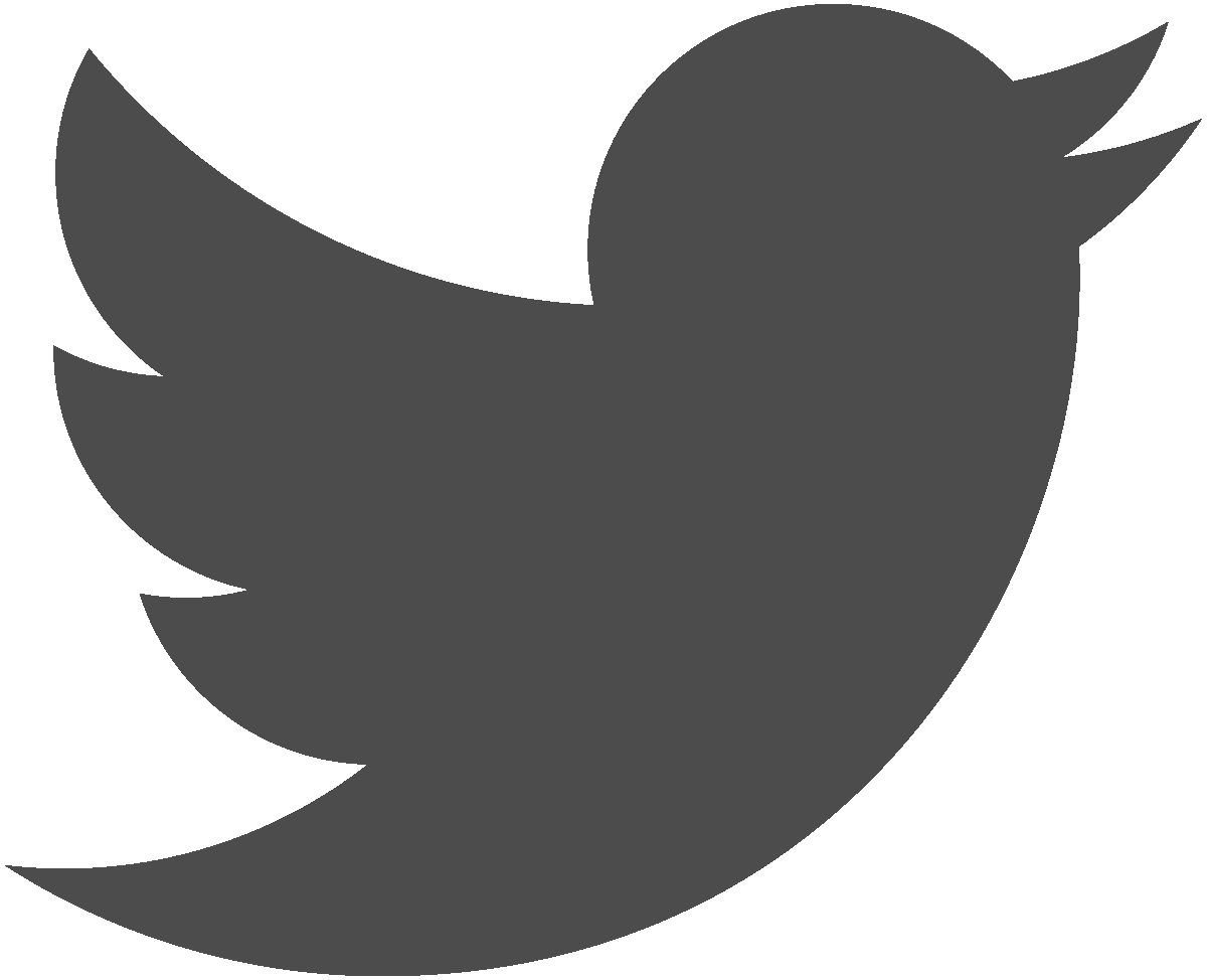 Twitter Logo 2013