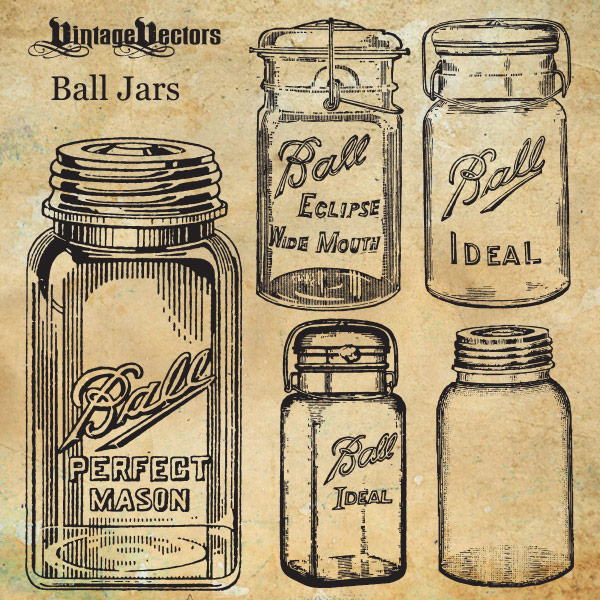 Vintage Mason Jar Vector