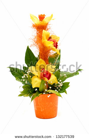 Yellow Flower Pot Arrangement