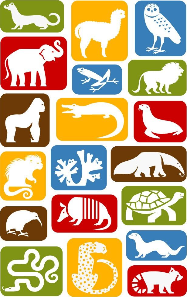 Zoo Animal Icons