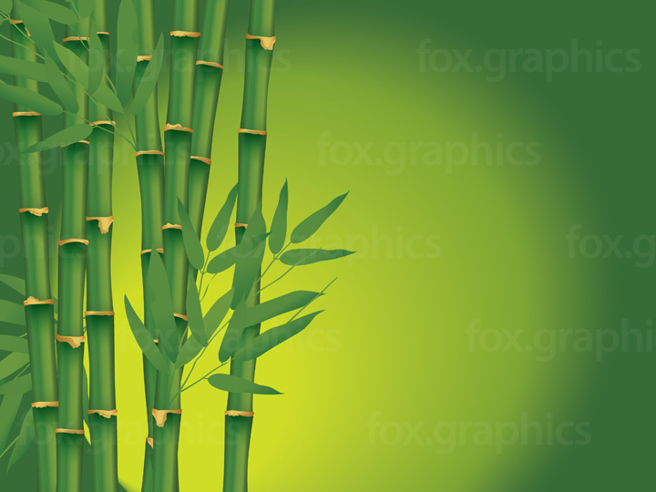 Bamboo Vector Graphics