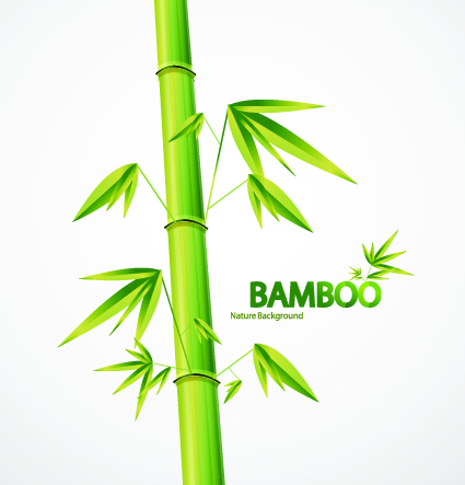 Bamboo Vector