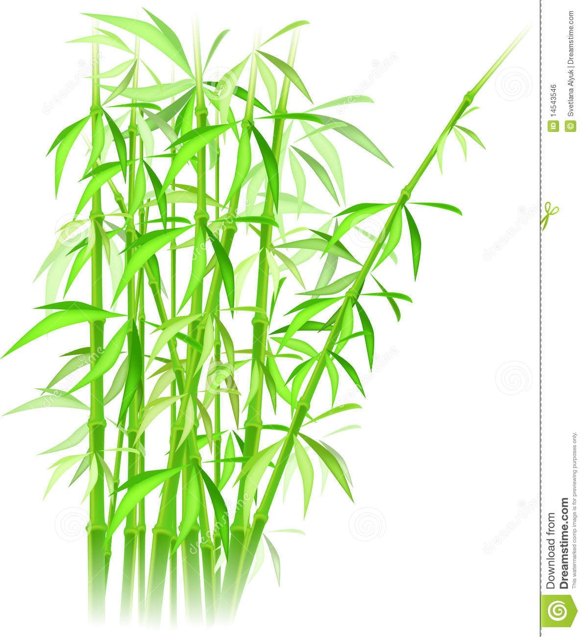 Bamboo Vector