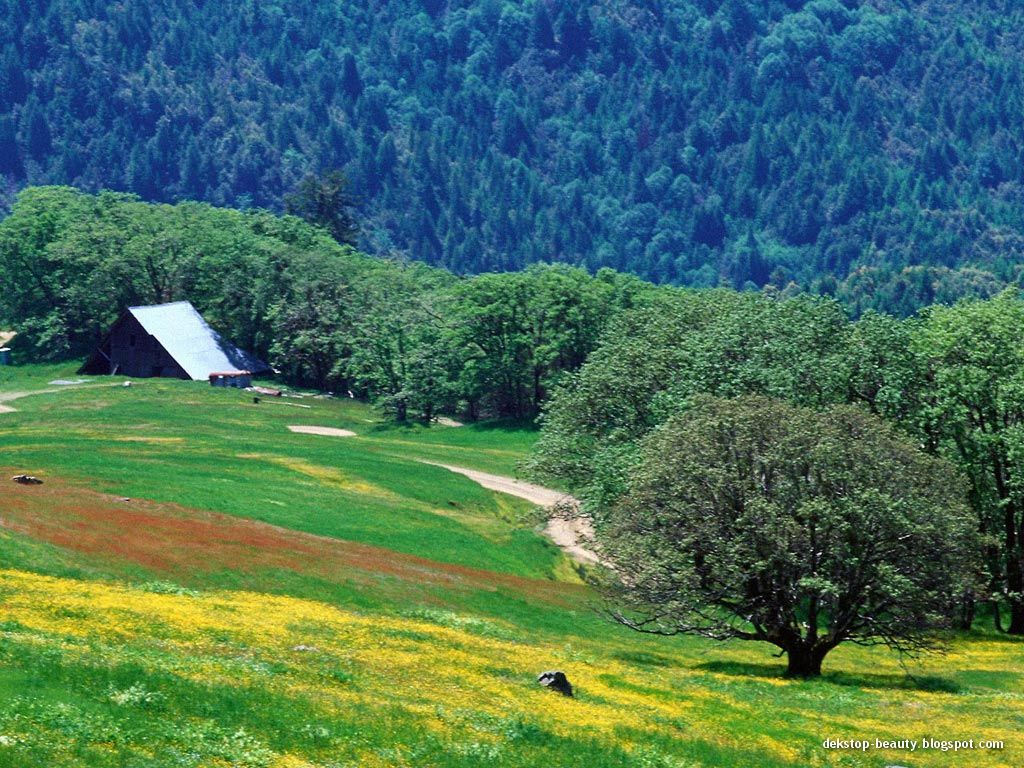 Beautiful Nature Photography Beautiful Nature Photography