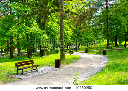 Beautiful Park Beautiful Park