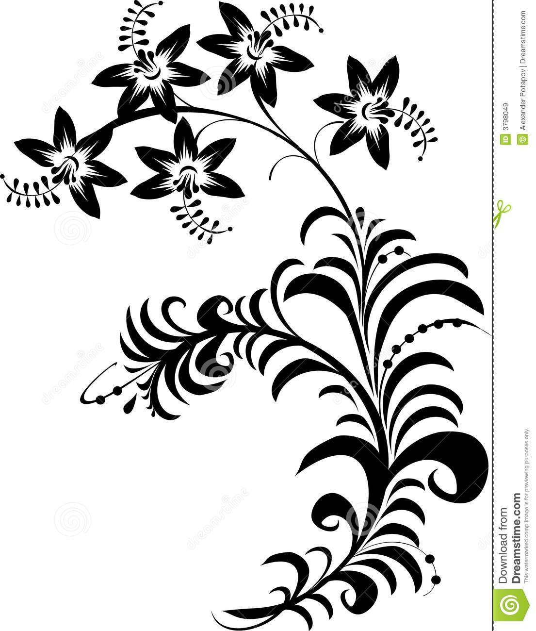 Black and White Flower Drawings