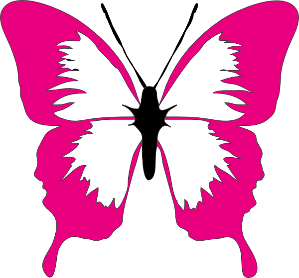 Butterfly Clip Art