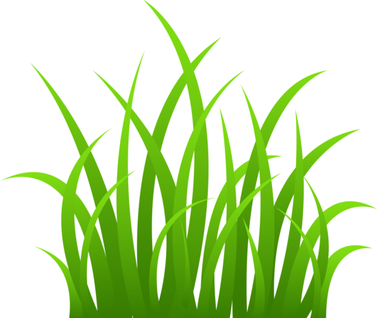 Cartoon Grass Clip Art