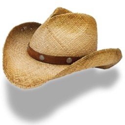 Cowboy Hat Icon