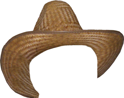 Cowgirl Hat