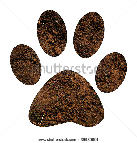 Dog Paw Prints in Dirt