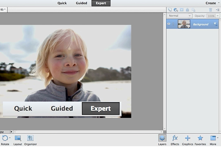 Download Adobe Photoshop Elements 12