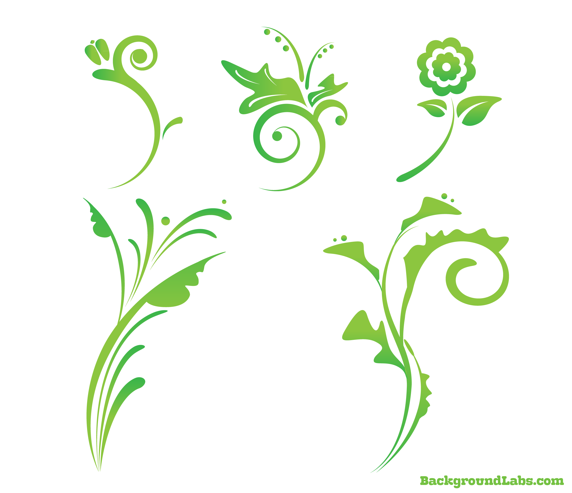 Flower Vector Floral Design