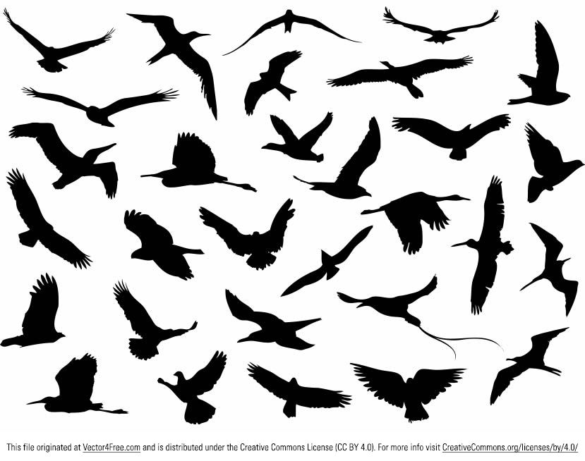 Flying Birds Silhouettes Vector Free