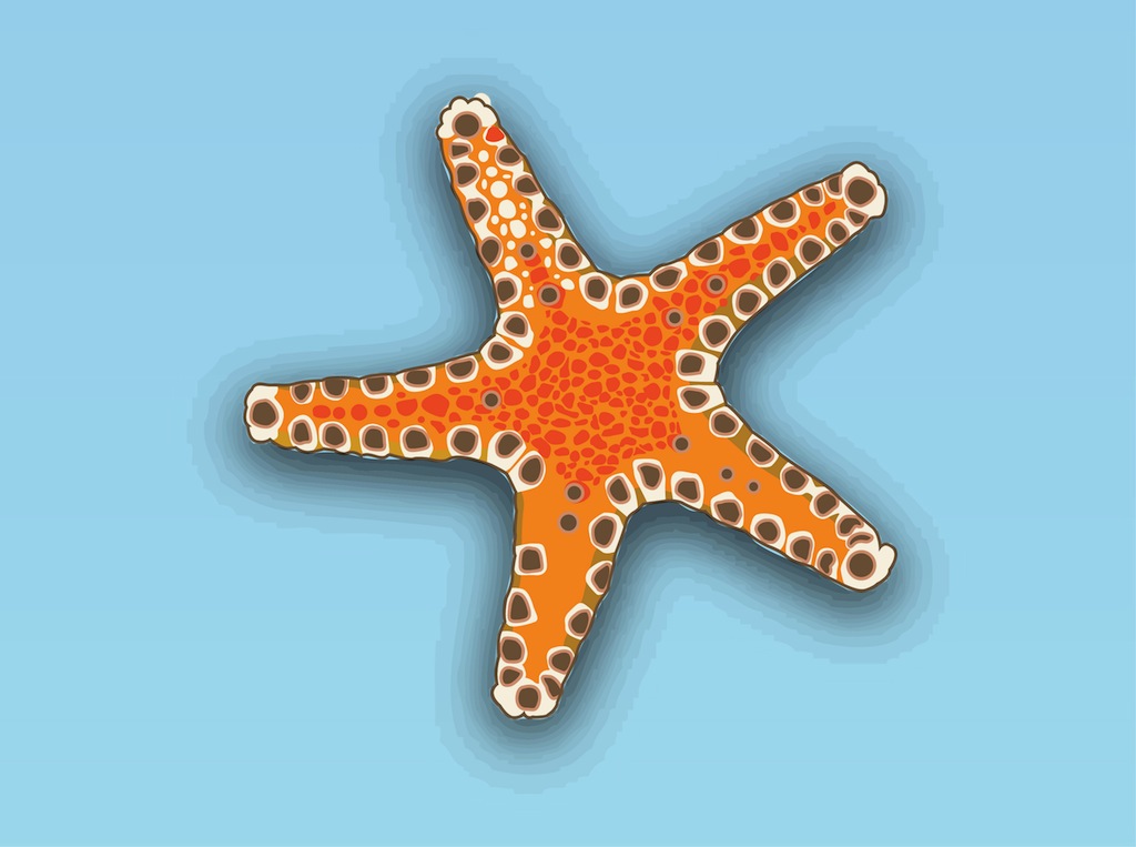 Free Starfish Vector
