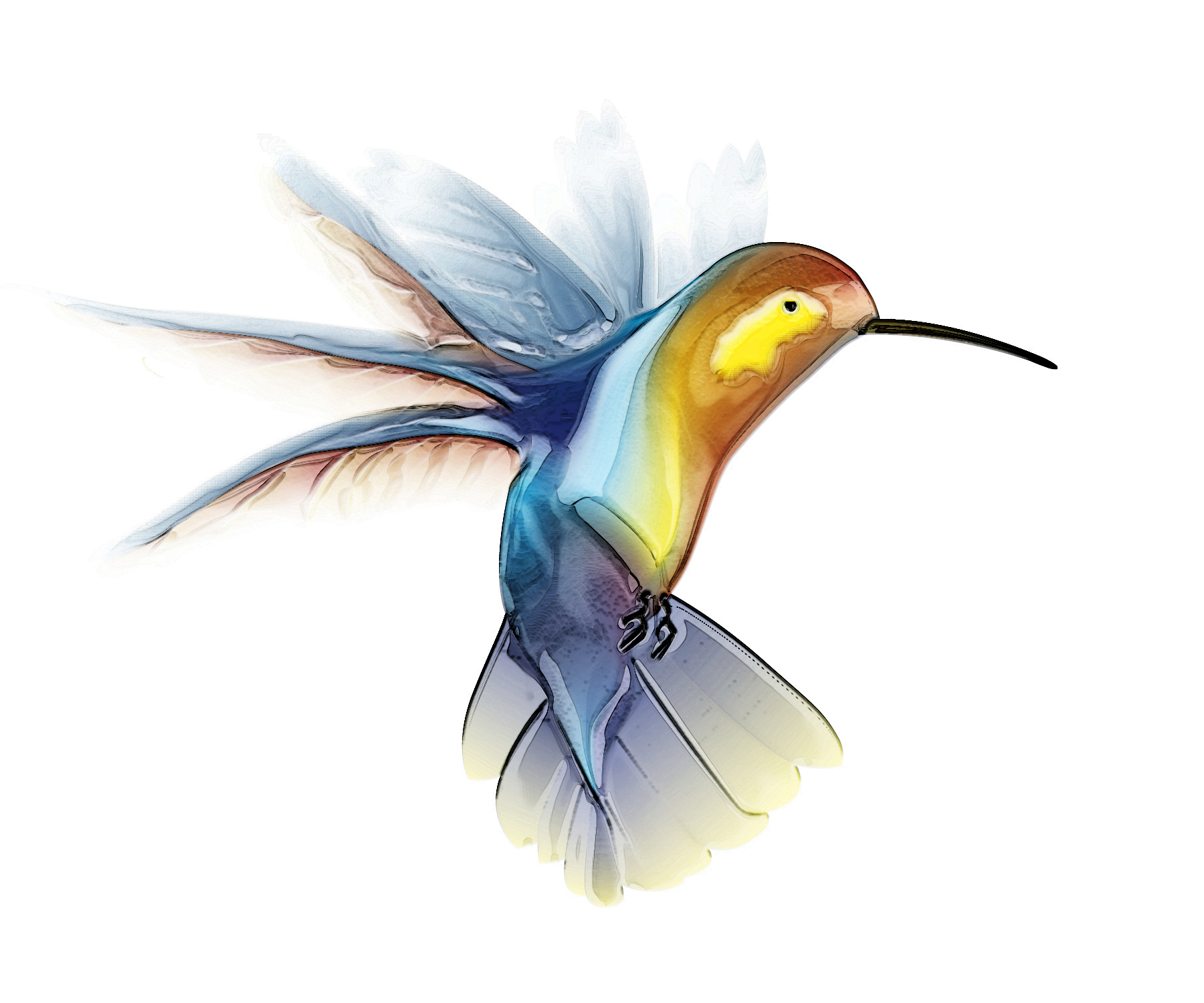 Hummingbird Drawing Clip Art Free