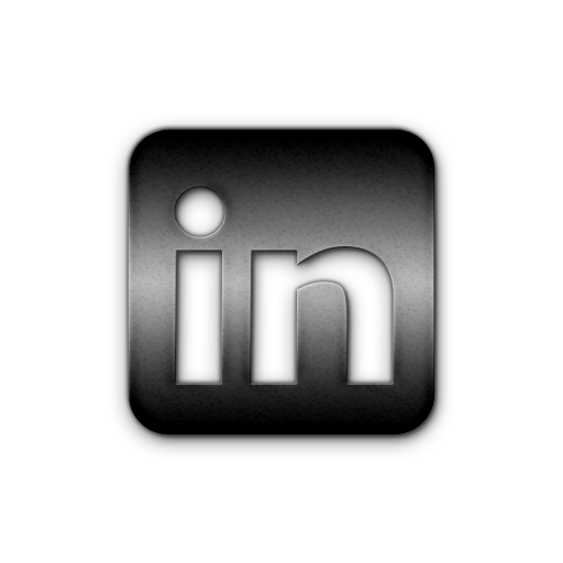 LinkedIn Logo Icon