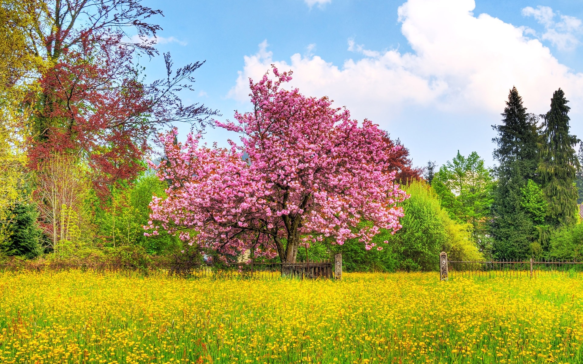 Mountain Lakes Beautiful Spring Desktop for Computer Mountain Lakes Beautiful Spring Desktop for Computer