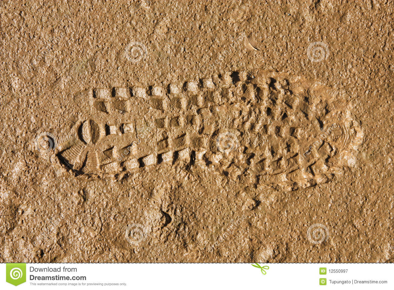 Mud Shoe Print