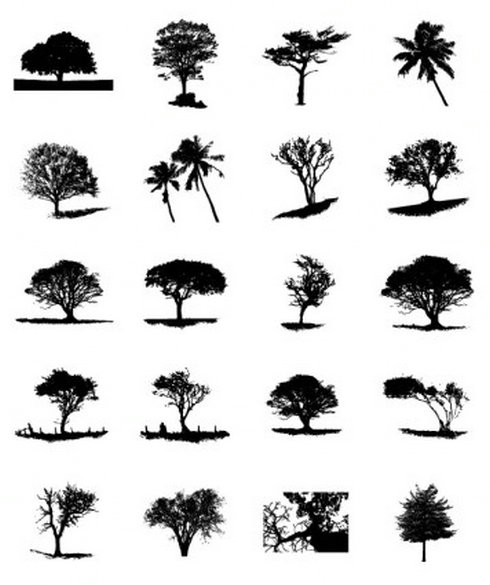 Pine Tree Silhouette Vector