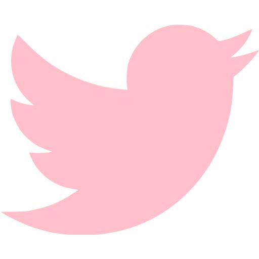 Pink Twitter Icon