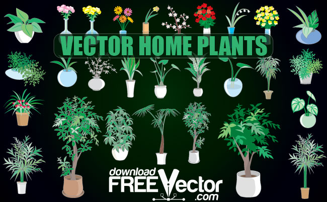 Realistic Plant Vector