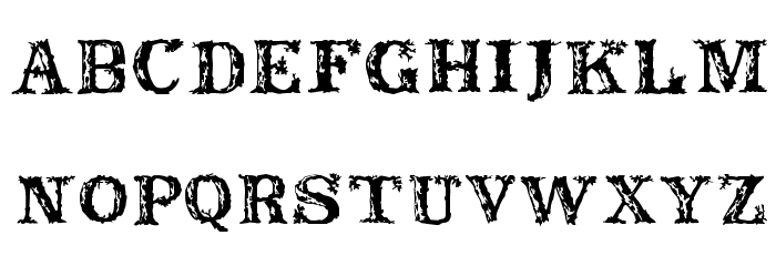 Rustic Fonts