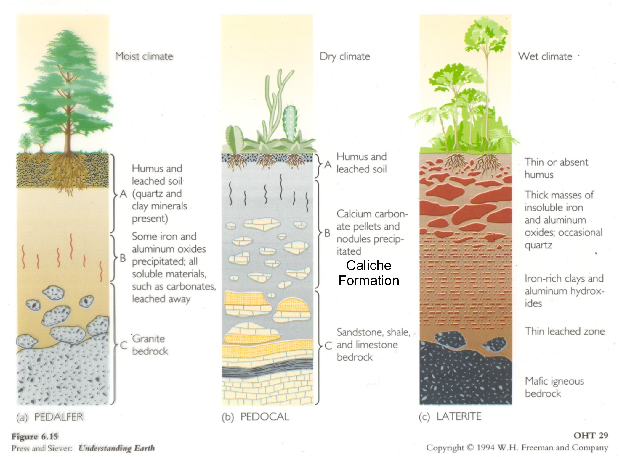 Soil Type Diagram