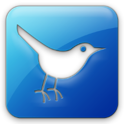 Square Twitter Icons Bird