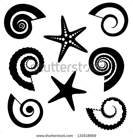 Starfish Clip Art Black and White Vector