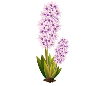 Vector Flower Plant Vector Flower Plant