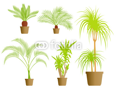 Vector Houseplants