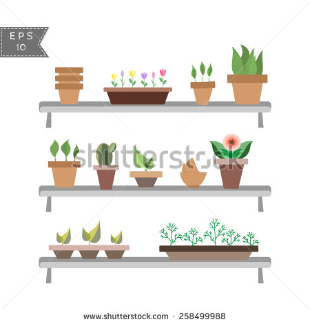 Vector Houseplants