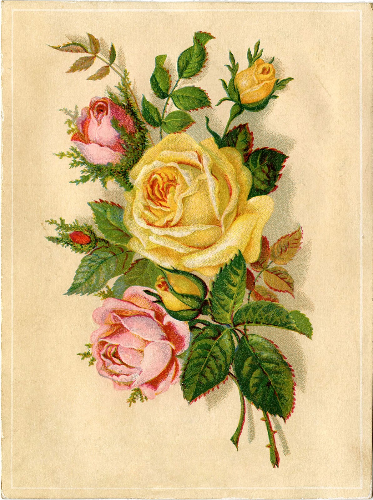 Vintage Yellow Roses Graphic
