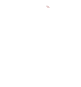 White Transparent Apple Logo