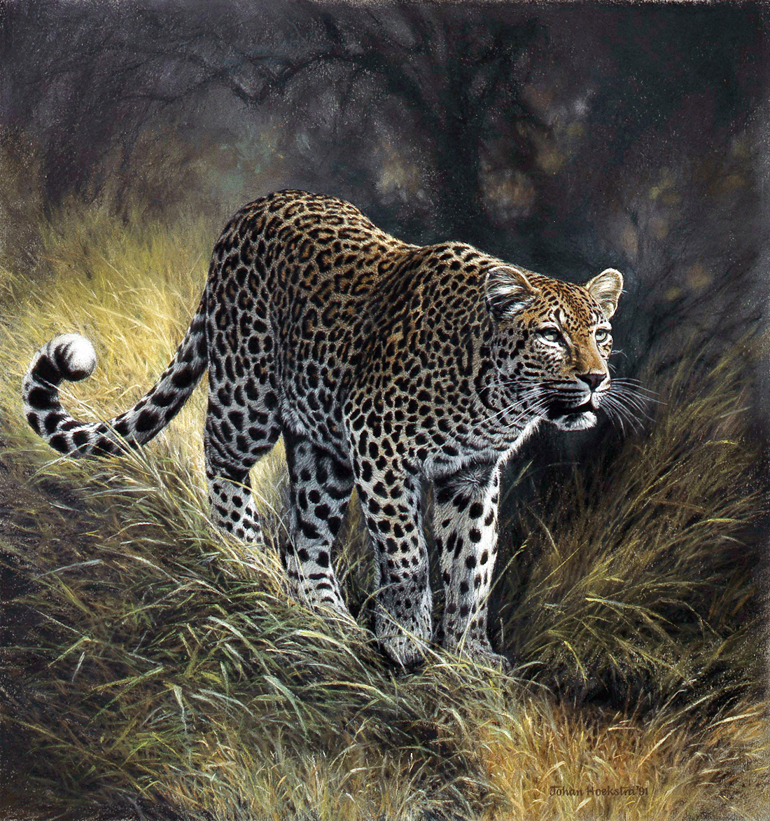 African Wildlife Art Prints