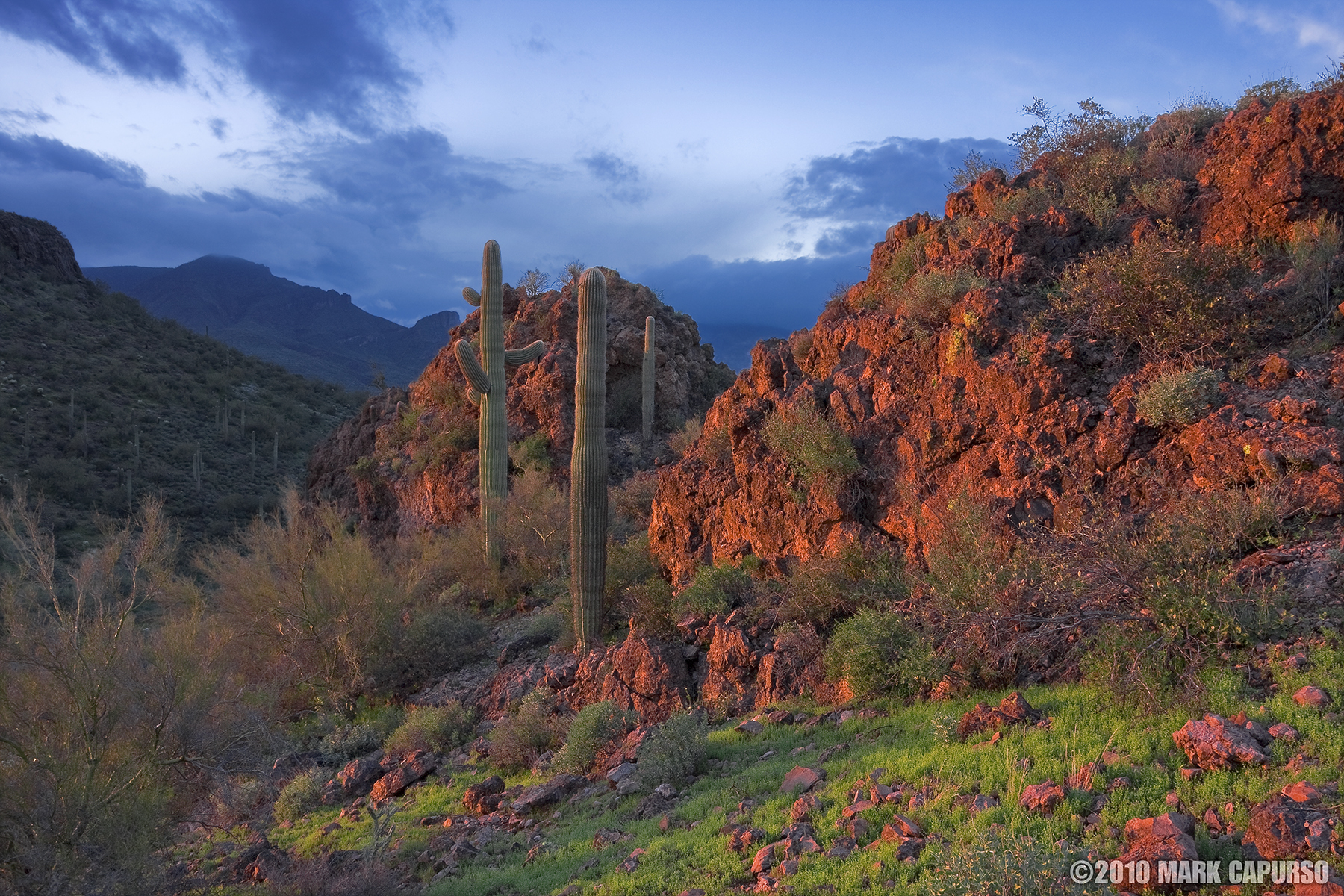 American South West Landscape