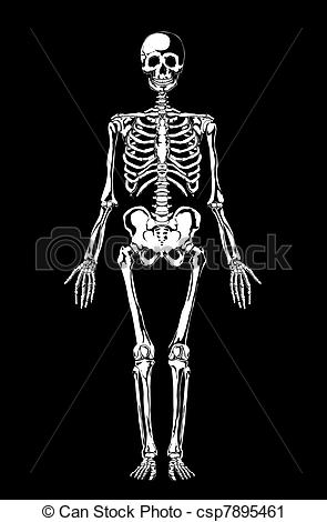 Black and White Skeleton