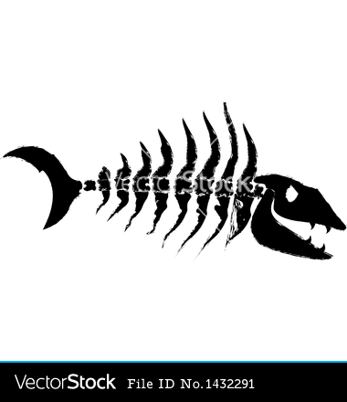 Bone Fish Skeleton Vector
