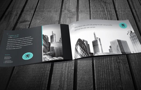 Business Brochure Design Idea