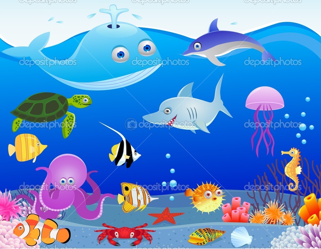 Cartoon Sea Life