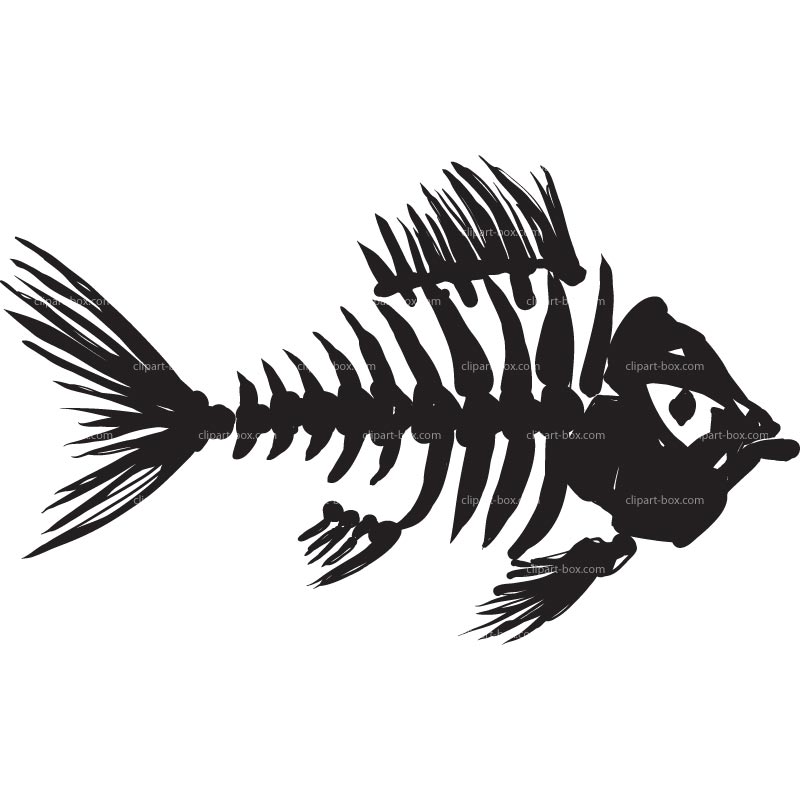 Fish Skeleton Clip Art