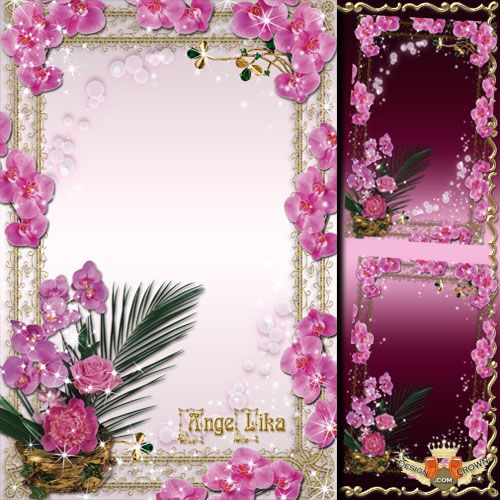 Flower Frame PSD