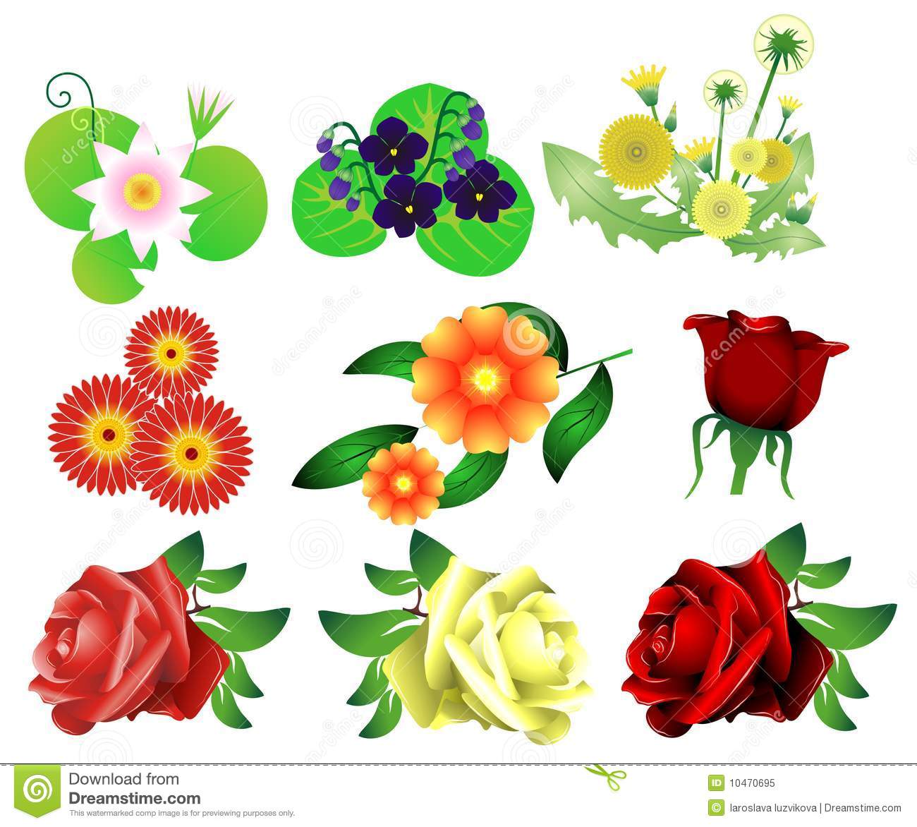 Flower Vector Set